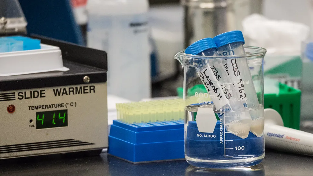 Sample tubes and a slide warmer on a laboratory bench.